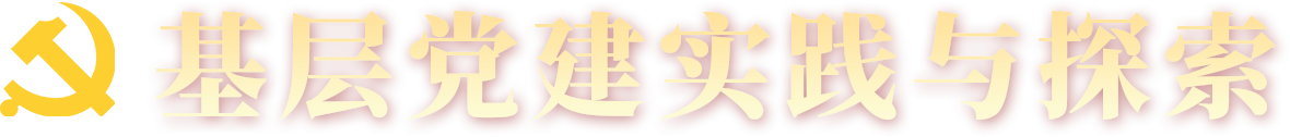 基层党建实践与探索