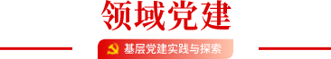 领域党建