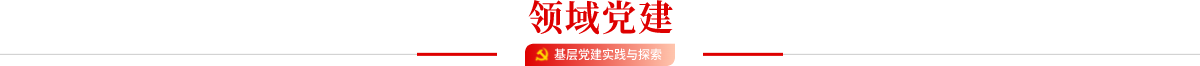领域党建