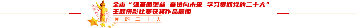 全市“强基固堡垒 奋进向未来——学习贯彻党的二十大”主题摄影比赛获奖作品展播