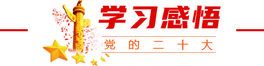 学习感悟