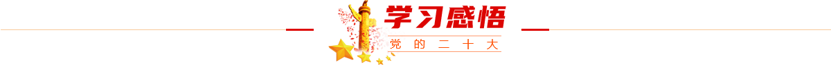 学习感悟