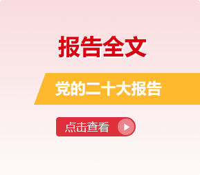 报告全文